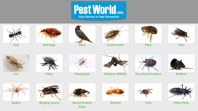 Pest-World-Pest-Library