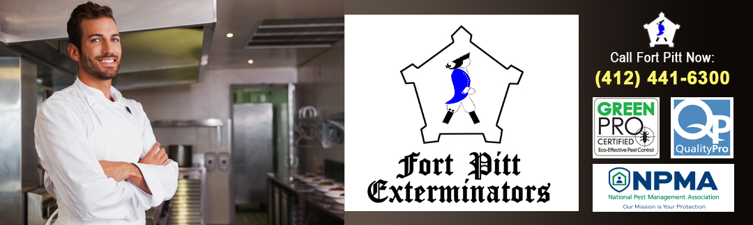 Fort Pitt Exterminators - Residential & Commercial Pest Control Experts