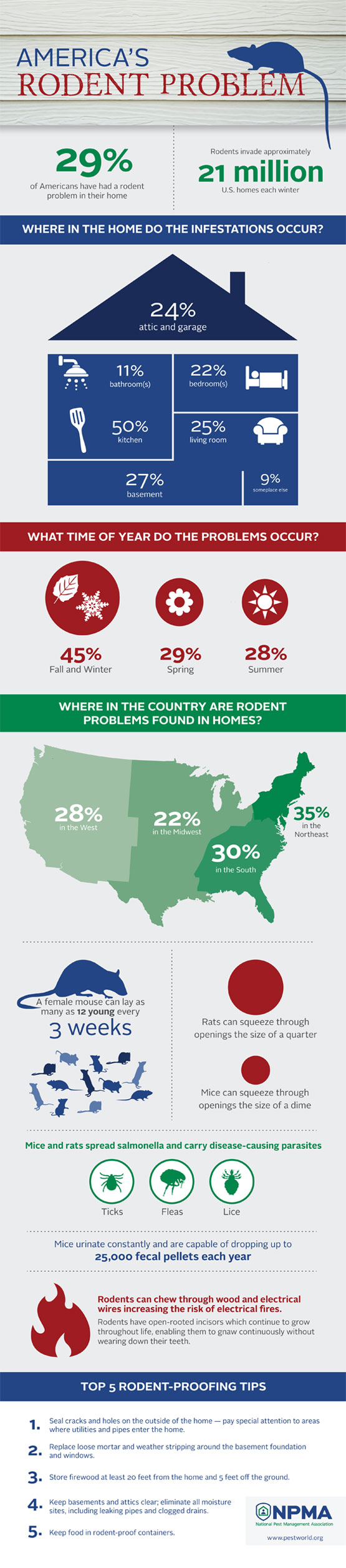 rodent-infestation-facts