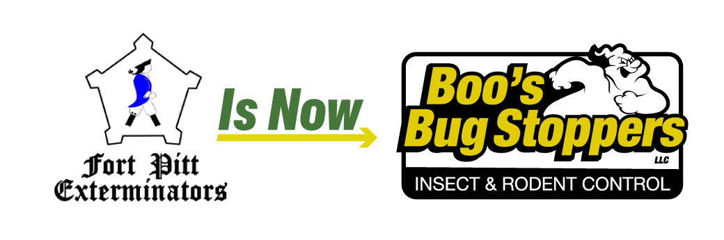 Fort Pitt Exterminators is now Boo's Bug Stoppers